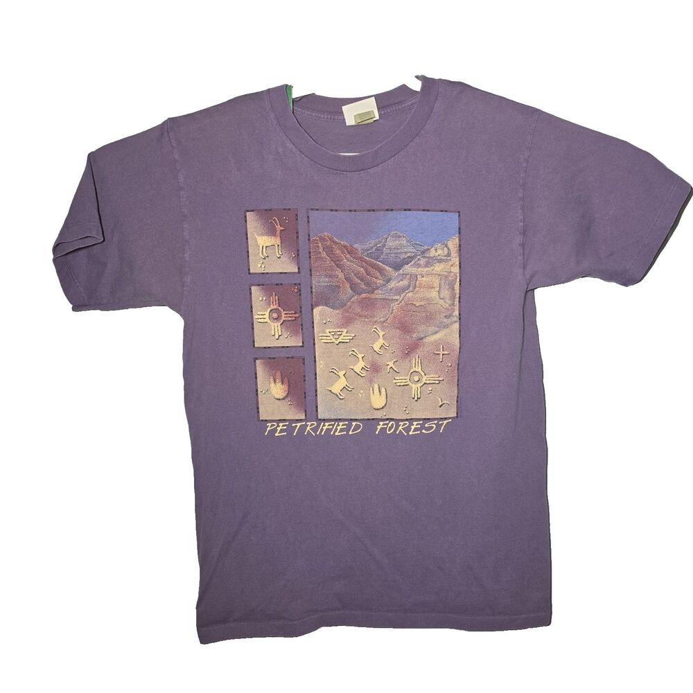Petrified Forest National Park Fred Harvey Shirt Men’s L Purple USA